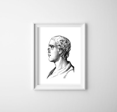 Plakat vintage do salonu Anatomiczne nadruki na nosie