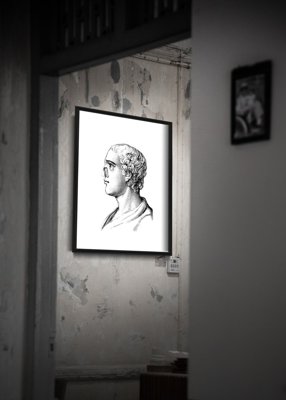 Plakat vintage do salonu Anatomiczne nadruki na nosie