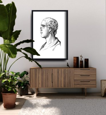 Plakat vintage do salonu Anatomiczne nadruki na nosie