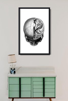 Plakat na ścianę Anatomiczne odciski głowy Skullt