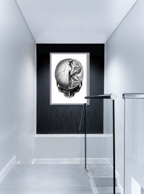Plakat na ścianę Anatomiczne odciski głowy Skullt