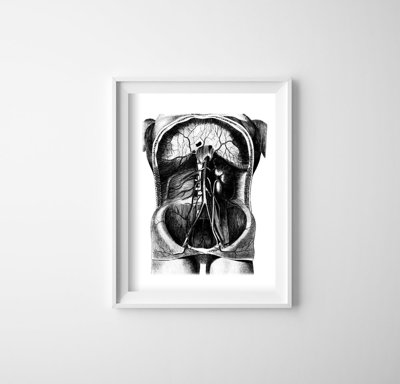 Plakat do pokoju Szkielet Ilustracja