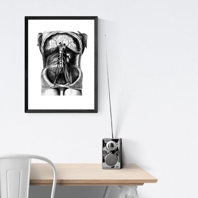 Plakat do pokoju Szkielet Ilustracja