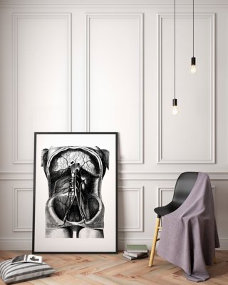 Plakat do pokoju Szkielet Ilustracja