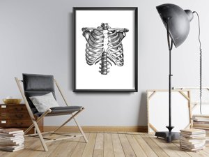 Plakat w stylu retro Anatomiczny Szkielet