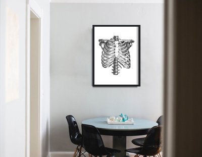 Plakat w stylu retro Anatomiczny Szkielet