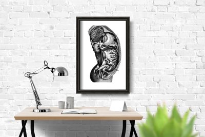 Plakat retro do salonu Anatomiczne wnętrze narządu