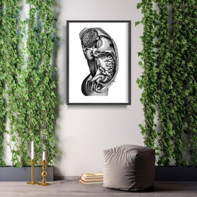 Plakat retro do salonu Anatomiczne wnętrze narządu