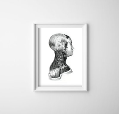 Plakatyw stylu retro Anatomiczne nadruki na mięśniach szyi
