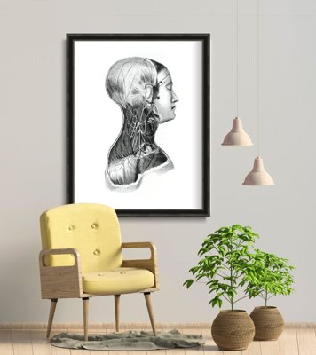 Plakatyw stylu retro Anatomiczne nadruki na mięśniach szyi