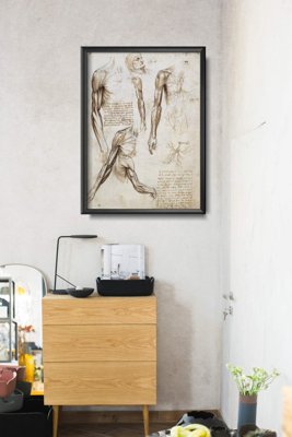 Plakat w stylu vintage Mięśnie kończyn górnych Da Vinci