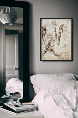 Plakat w stylu vintage Mięśnie kończyn górnych Da Vinci