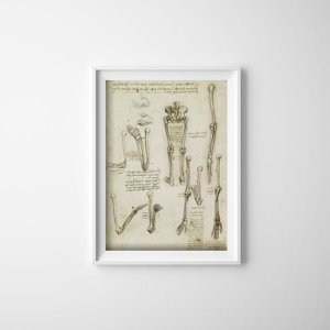 Plakat retro do salonu Anatomiczne kości da Vinci