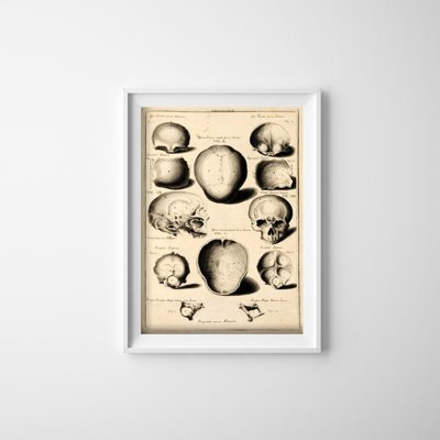 Plakat vintage do salonu Kości twarzy John Fotherby