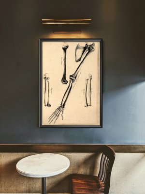 Plakat vintage Kości ramienia John Fotherby