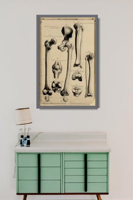 Retro plakat Anatomia człowieka John Fotherby