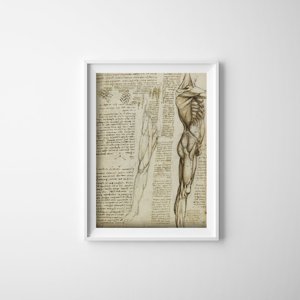 Plakat w stylu retro Da Vinci Mięśnie nóg