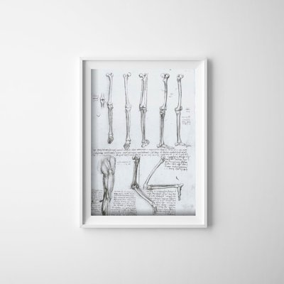 Plakat na ścianę Da Vinci Kości nóg