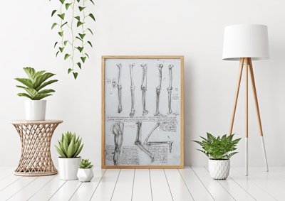 Plakat na ścianę Da Vinci Kości nóg