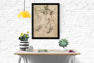Plakat do pokoju Da Vinci Mięśnie