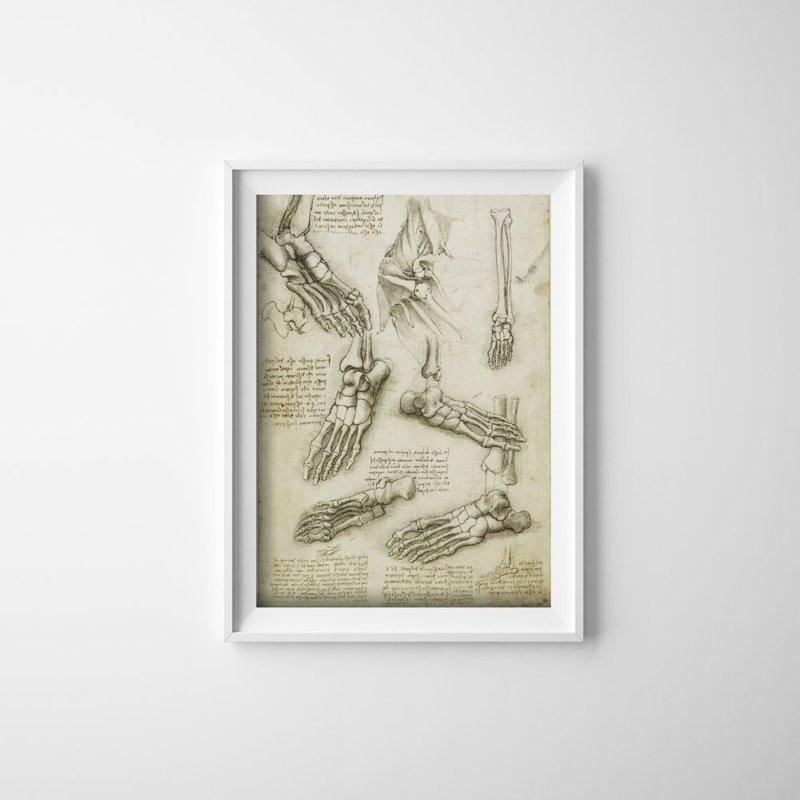 Plakat retro Da Vinci Kości stopy