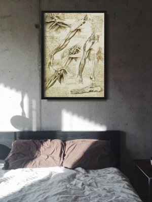 Plakat vintage Da Vinci Mięśnie