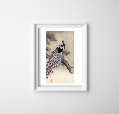 Retro plakat Paw na gałęzi sosny autorstwa Ohary Koson