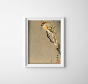 Plakat w stylu vintage Ptak i pająk na gałęzi autorstwa Ohary Koson