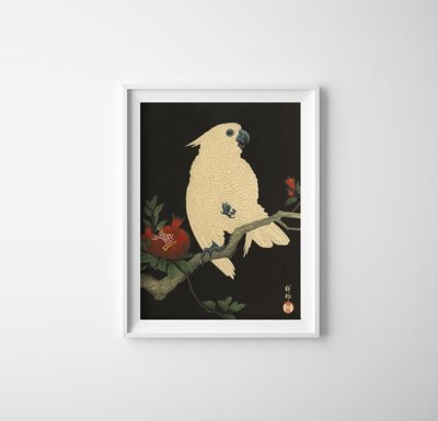 Plakat w stylu retro Papuga autorstwa Ohary Koson