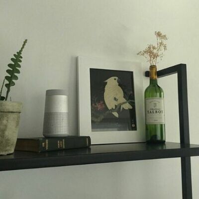 Plakat w stylu retro Papuga autorstwa Ohary Koson