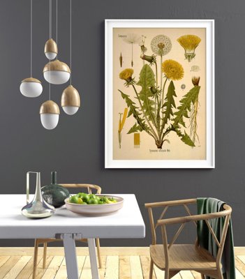 Plakat vintage do salonu Mlecz