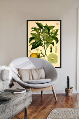 Plakat na ścianę Bergamotka