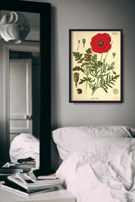 Retro plakat Botaniczny nadruk czerwony mak