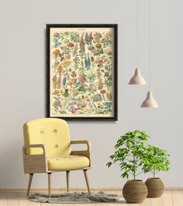 Plakat w stylu vintage Kwiatowy nadruk Adolphe Millo