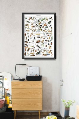 Plakat w stylu retro Owady Adolphe Millot