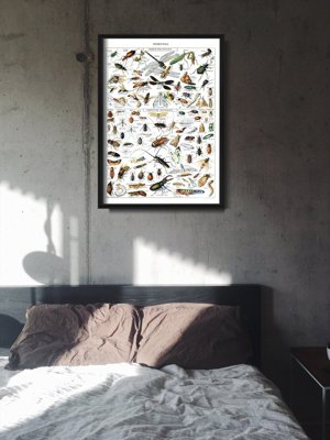 Plakat w stylu retro Owady Adolphe Millot