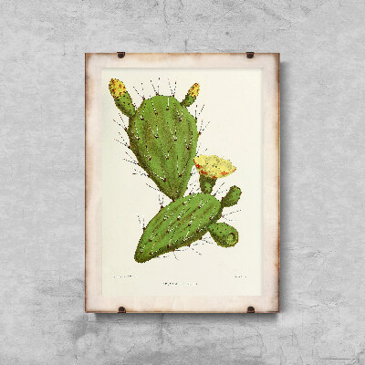Plakat na ścianę Kaktus Opuncja