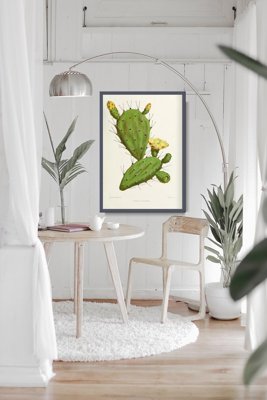 Plakat na ścianę Kaktus Opuncja