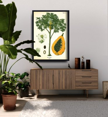 Plakat do pokoju Antyczny botaniczny nadruk drzewa papai