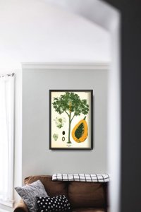 Plakat do pokoju Antyczny botaniczny nadruk drzewa papai