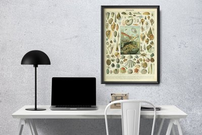 Plakat retro Muszle Adolphe Millot