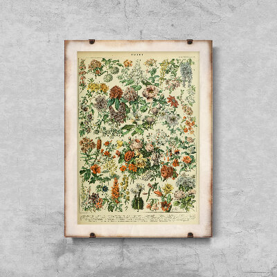 Plakat vintage Kwiatki Adolphe Millot