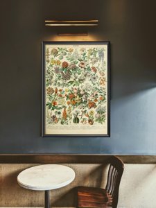 Plakat vintage Kwiatki Adolphe Millot