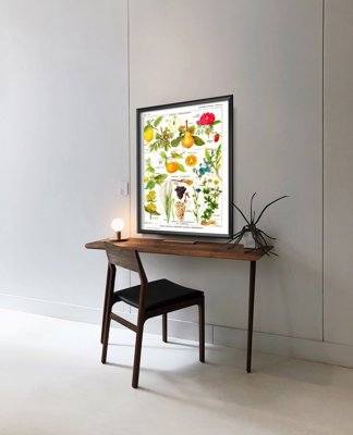 Plakat w stylu vintage Botanika owoce cytrusowe