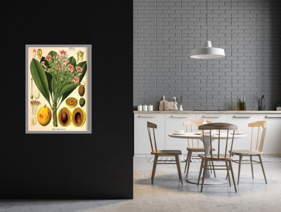 Plakat vintage do salonu Botaniczny nadruk Apocyaceae