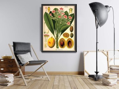 Plakat vintage do salonu Botaniczny nadruk Apocyaceae