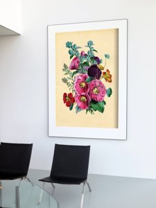 Plakat do pokoju Kwiat Malwy