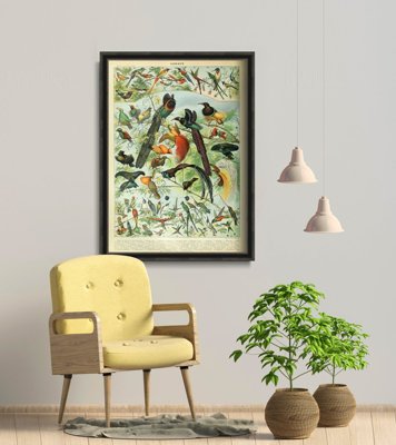 Plakat vintage Ptaki Adolphe Millot