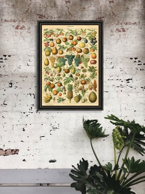 Retro plakat Owoce Adolphe Millot