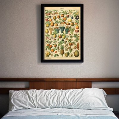 Retro plakat Owoce Adolphe Millot
